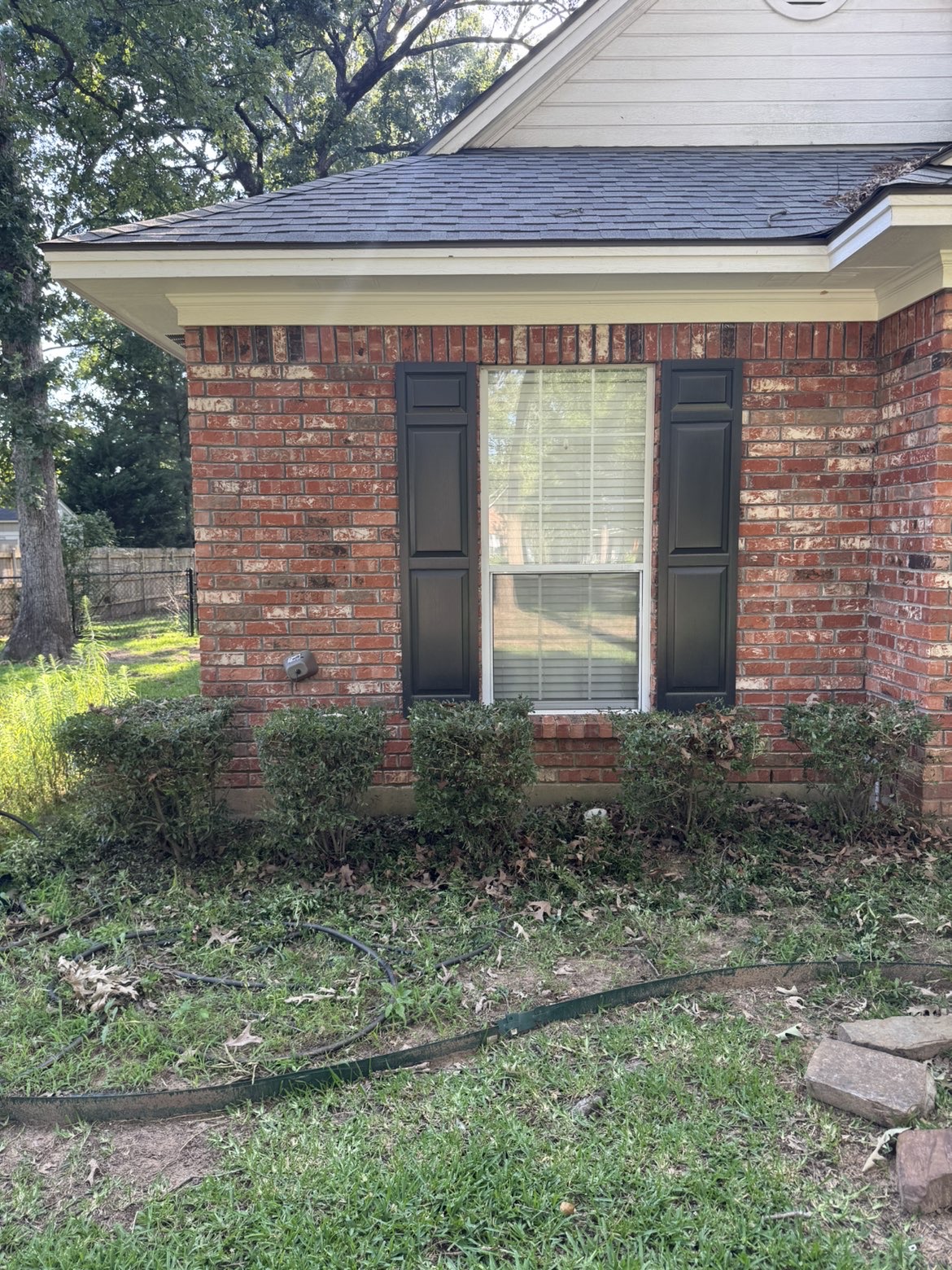 Side yard overgrowth cleared and pine straw installed before