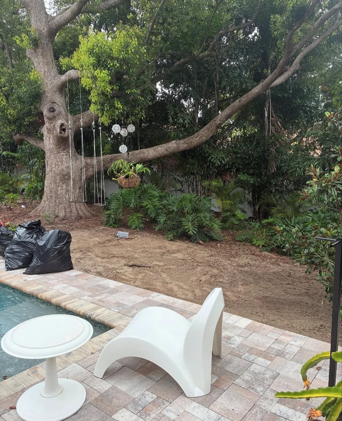 Back yard brush clearing and full reset after