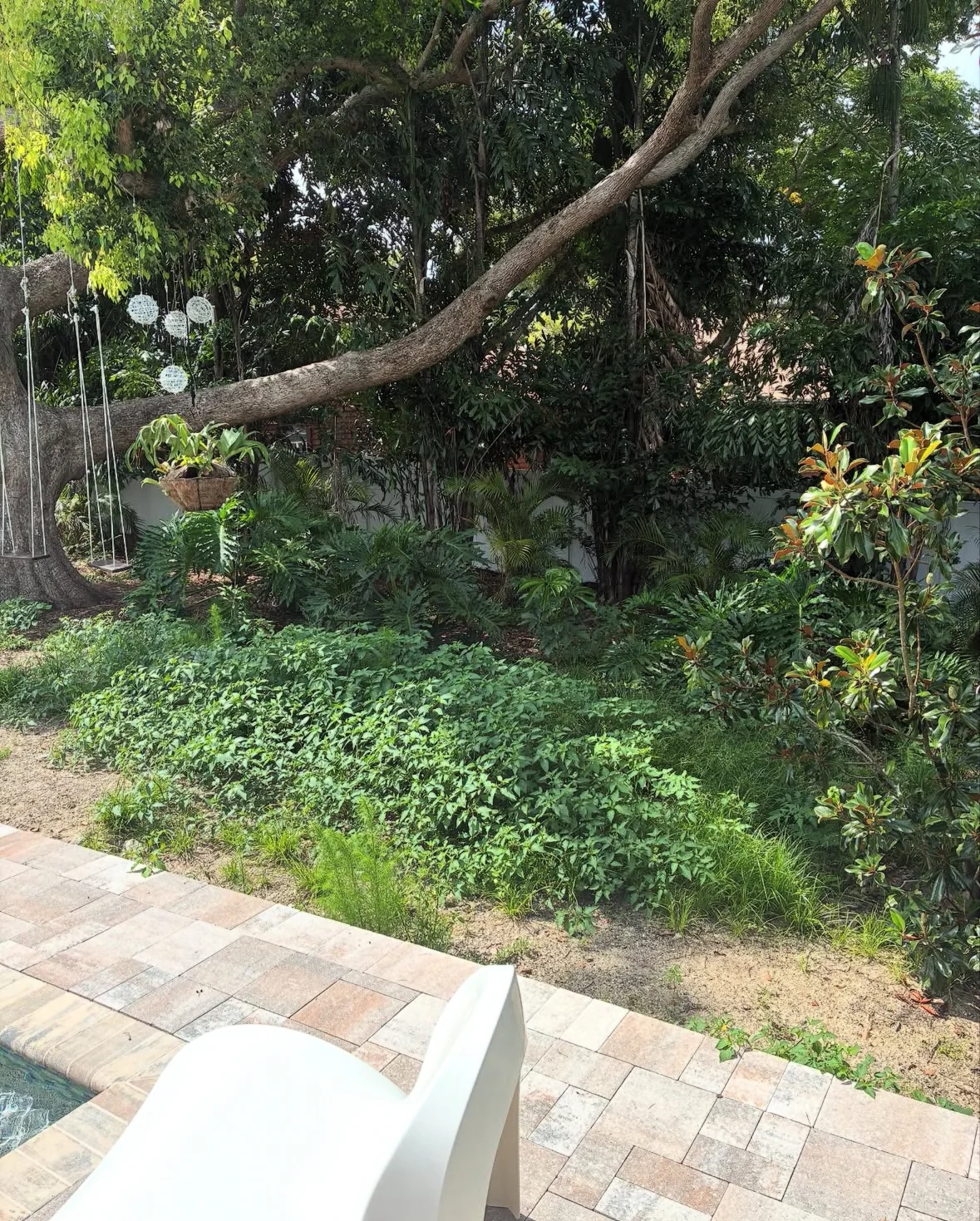 Back yard brush clearing and full reset before