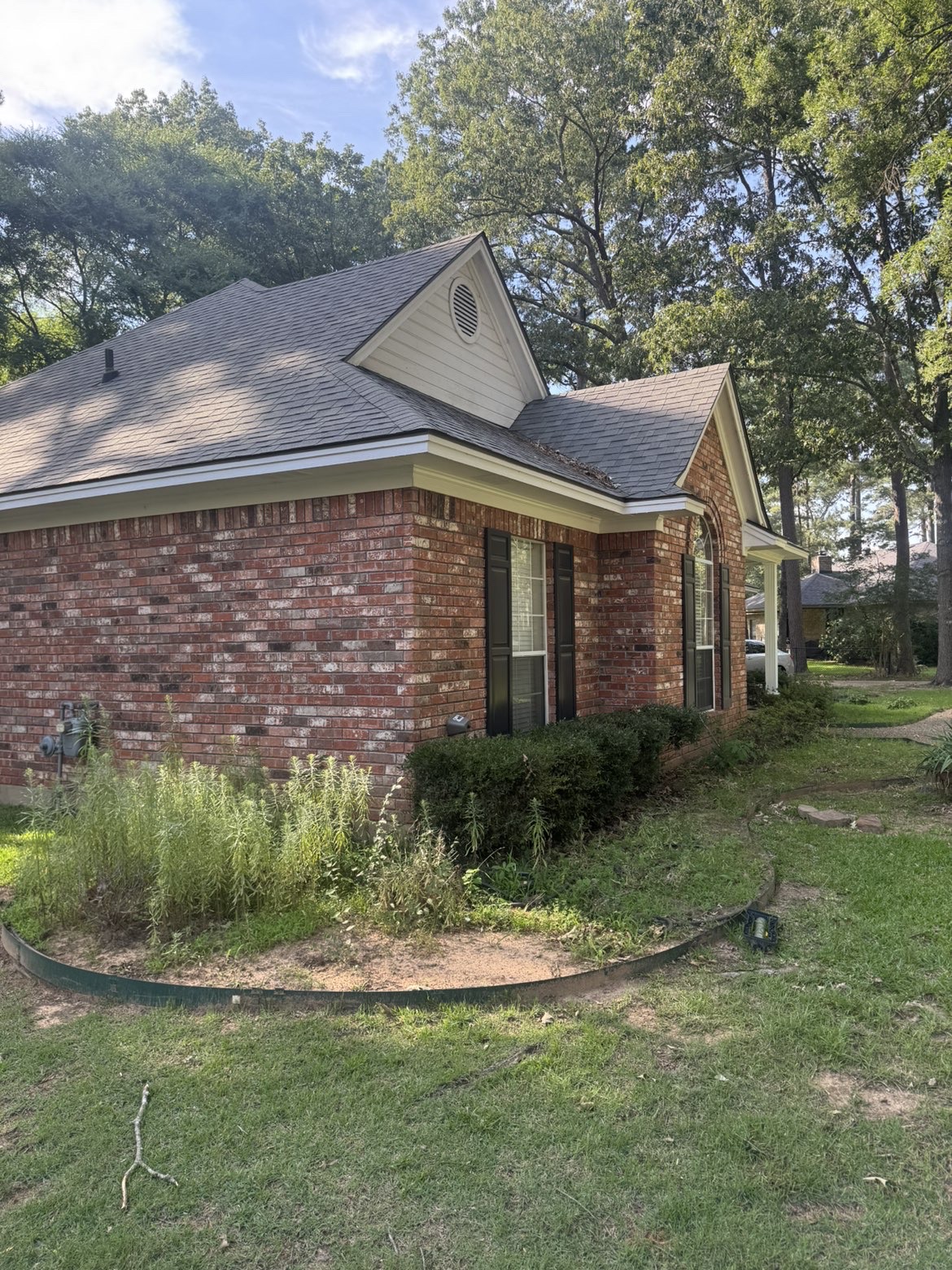 Back yard brush clearing and full reset before